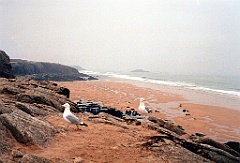 1996 - Bretagne 04 (Bretagne)